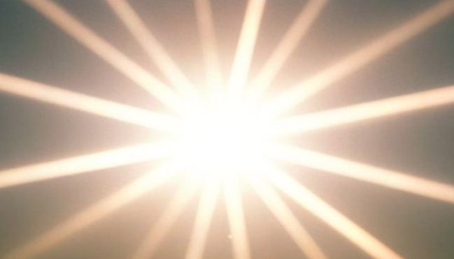 sole